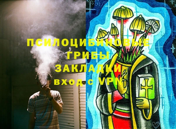 ГАЛЛЮЦИНОГЕННЫЕ ГРИБЫ Алзамай