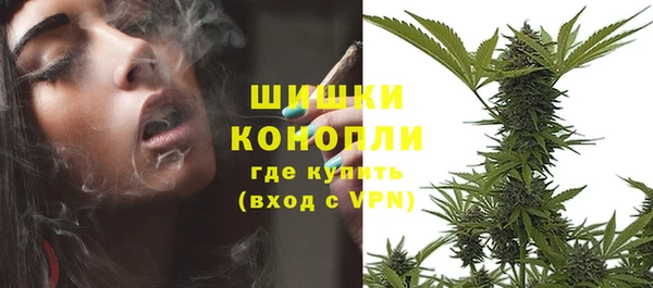 ГАЛЛЮЦИНОГЕННЫЕ ГРИБЫ Алзамай