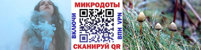 Псилоцибиновые грибы мухоморы  kraken ссылки  Новосиль 